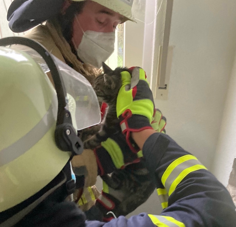 wwwFEUERWEHRde's tweet photo. #Feuerwehr #Uplengen #Remels
Katze aus stillgelegten Schornstein gerettet
https://t.co/mas3qxkWVX
#EinsatzFW https://t.co/ySjKaFCbF9