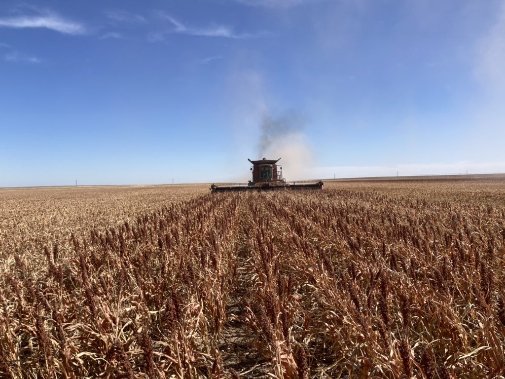 No mas. Let’s go to Nebraska.