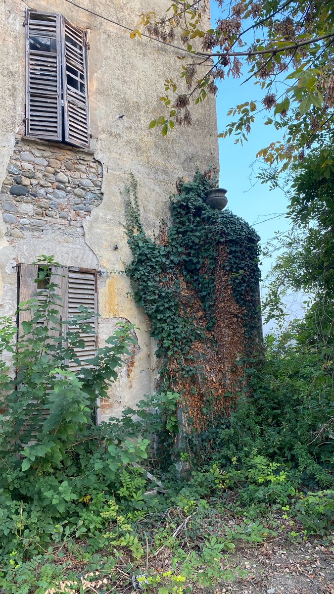 KCIMMOBILGEST's tweet photo. Piacenza, fascino cinquecentesco….. https://t.co/7gGyOjeHZY https://t.co/LjUWTi8sNp