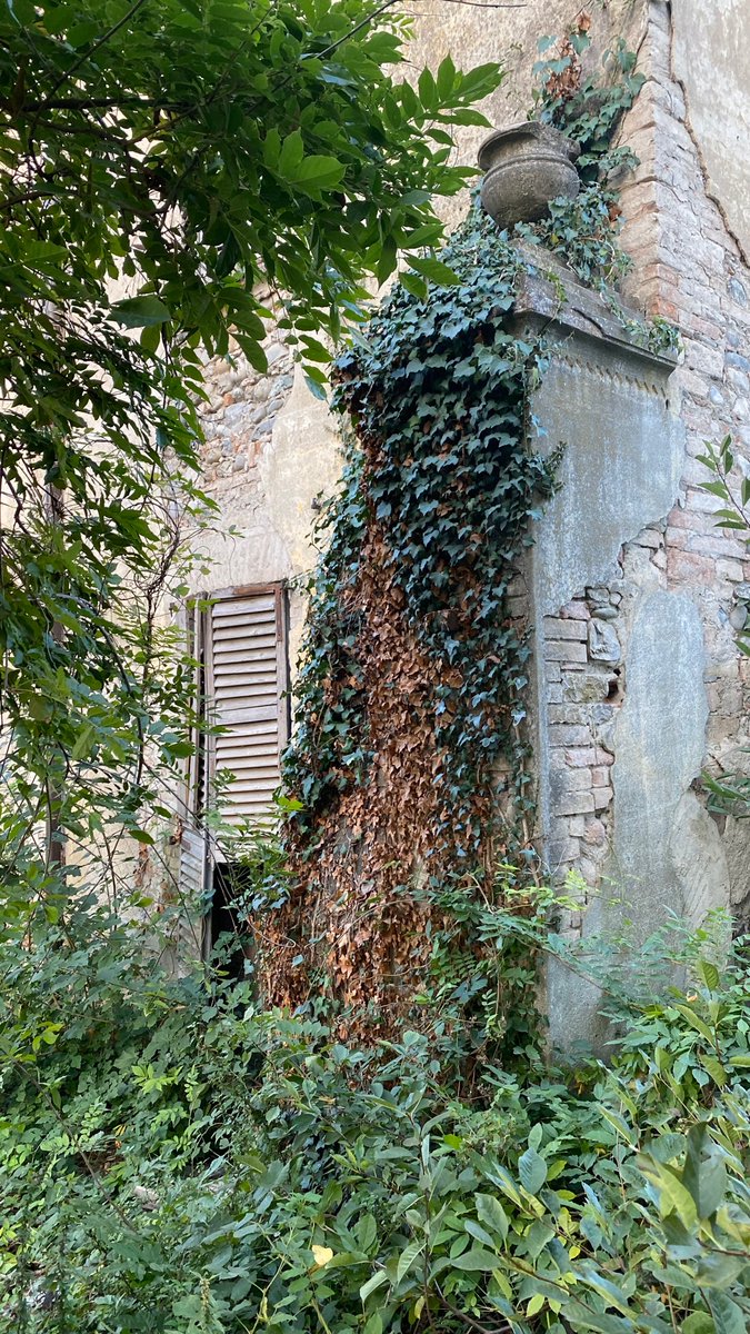 KCIMMOBILGEST's tweet photo. Piacenza, fascino cinquecentesco….. https://t.co/7gGyOjeHZY https://t.co/LjUWTi8sNp
