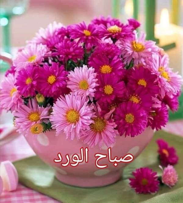 LoloLoloadrees5's tweet image. 