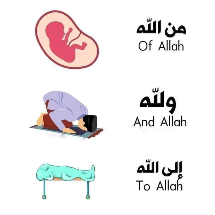 LoloLoloadrees5's tweet image. 