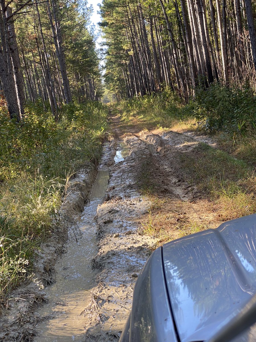 crispy_lumpia_'s tweet photo. Had a great time exploring the Francis Marion National Forest. Pebbles did a great job handling the forest roads/mud/ruts. It’s so nice to explore and find new paths and camping spots. Plus, found a CREEPY church! @GMC #canyonAT #pebbles #FMNF #nationalforest #overland https://t.co/srC7551rCW