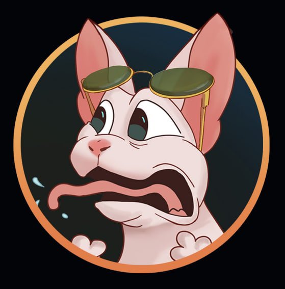 Cash₿ro🔥 tweet media