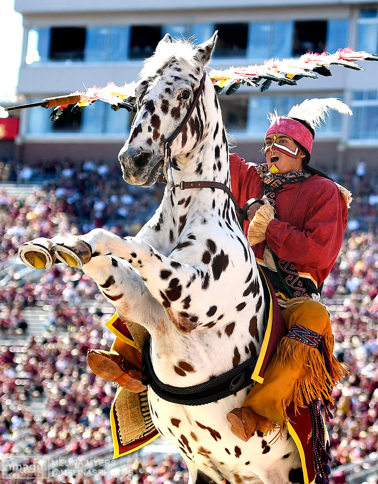 melinasphotos's tweet photo. Osceola and Renegade homecoming portrait. 📸
So happy with this one. 😍 #Noles https://t.co/ROMteI0j8e