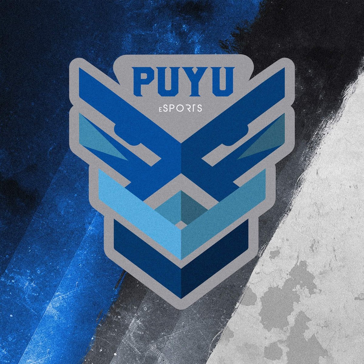 #NuevaFotoDePerfil
#VamosPuyu