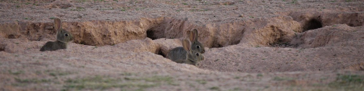 Una de las fotografías de mi próximo libro, "Tierras de La Mancha".