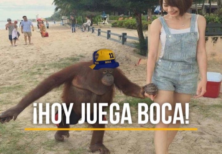 fernetero tweet media