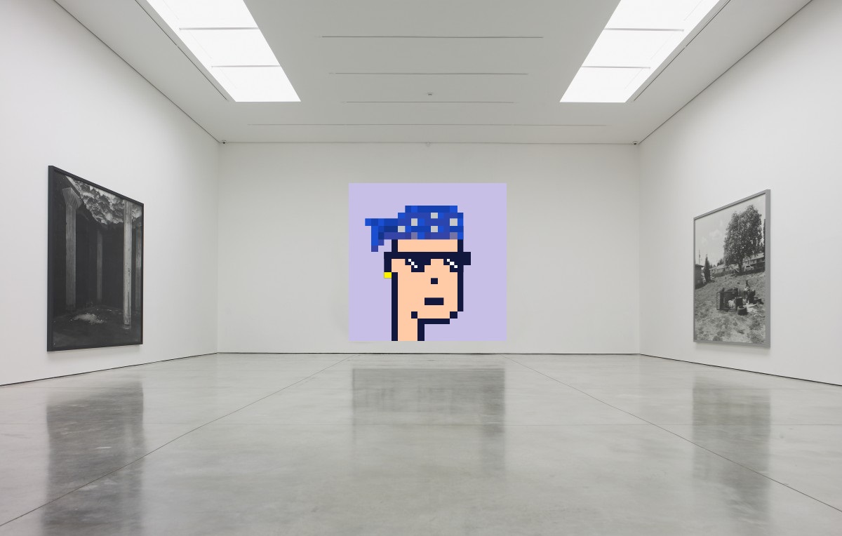 Earth in 2030,

At a certain museum...

#PunksVerse #NFT