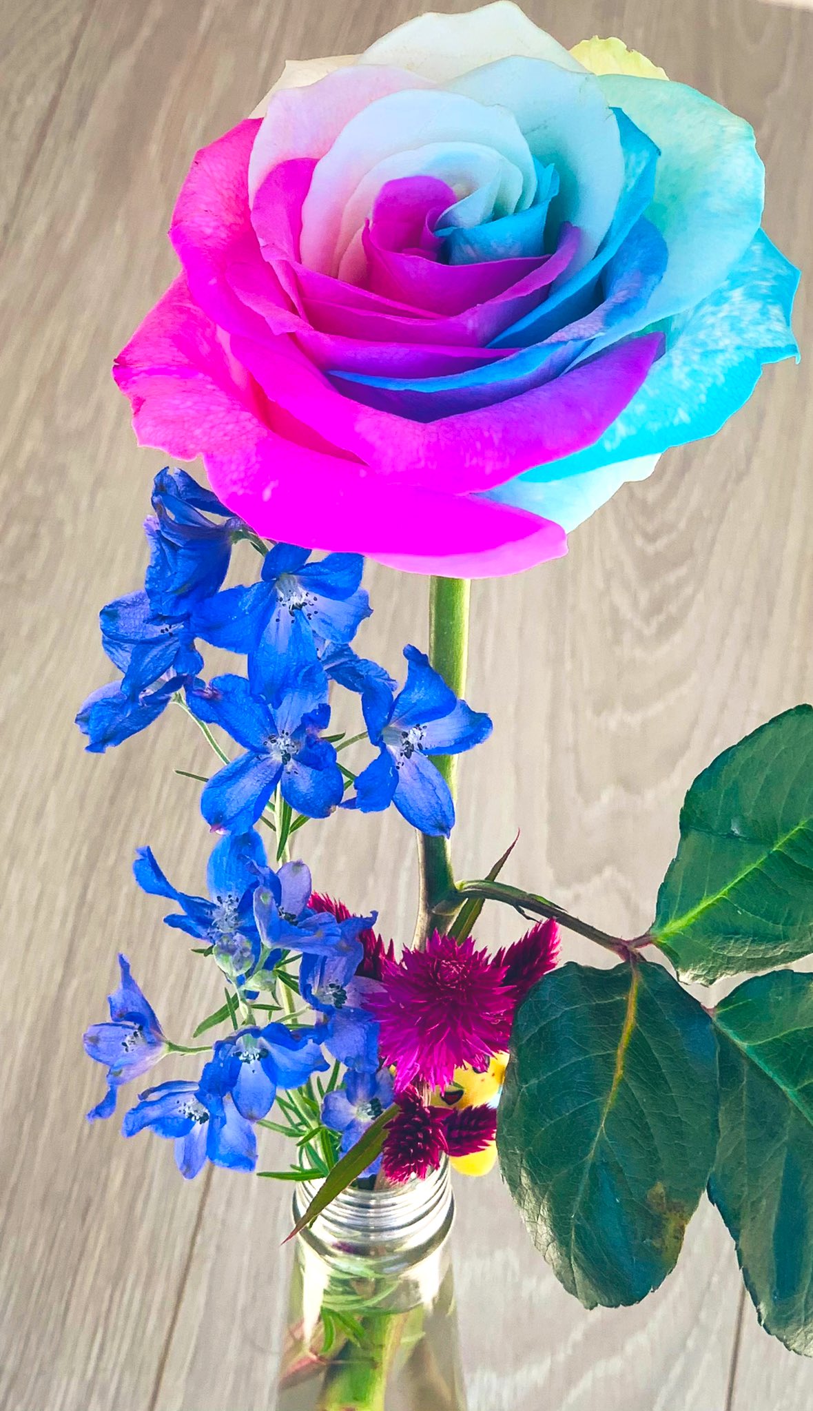 ふなっしー みんなこんなっしー ヾ ノレインボーローズなっしー 初めてまじまじとみたなっしー めっちゃ綺麗なっしなー 白い薔薇を人工的に染付して作るみたいなっしー この時期お花屋さんに売ってるお花もハロウィン感出してたなっし