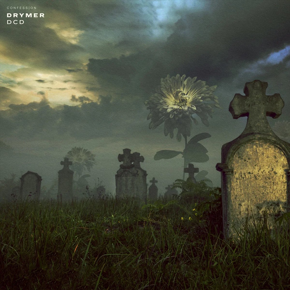 iTchami's tweet photo. #DCD | @drymermusic 

via @confessionlabel 

Link: https://t.co/7dPlY5ZfTm https://t.co/hP3Z4TeK7q