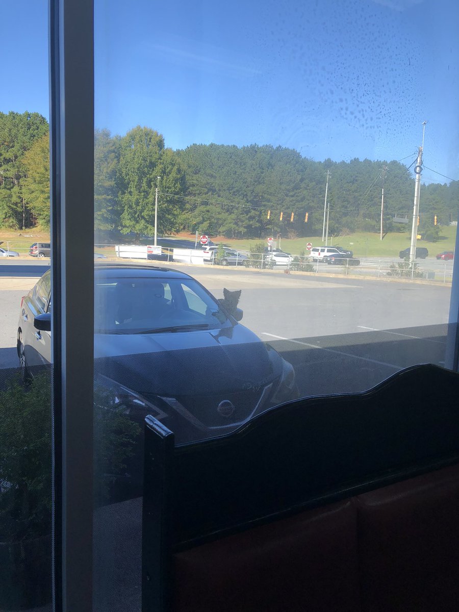 Only_Kascha's tweet photo. So I left my child in the car to go into the corner store for ONE SECOND to buy something and this happened. I swear I’m not a bad mom 🤦🏾‍♀️ https://t.co/iwIPKKSWuB
