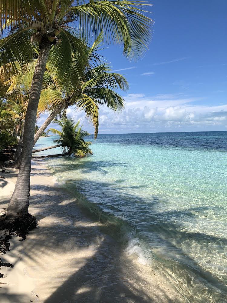 Jimmy Buffett Wallpaper