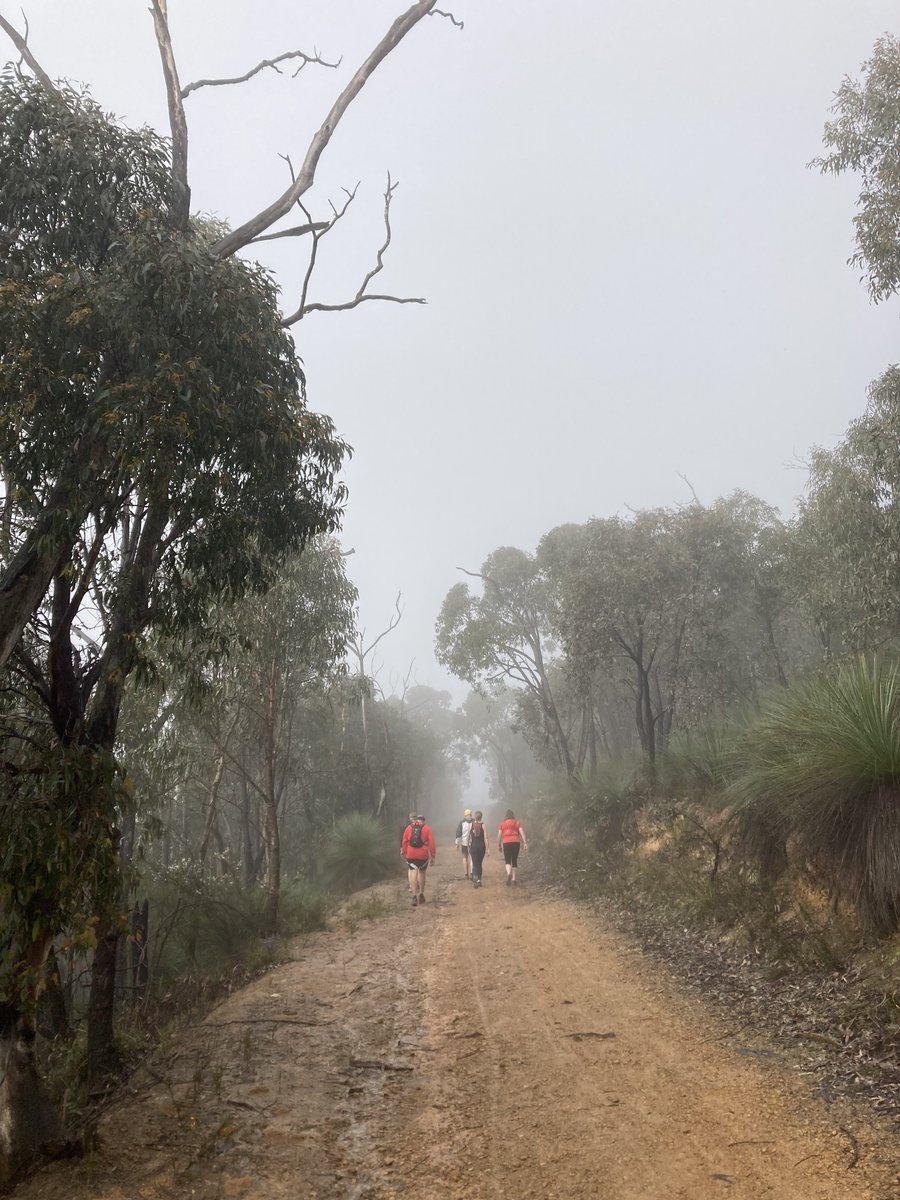 visibleprocrast's tweet photo. A good morning on the trails #Westerfoldians https://t.co/LUH7NFtySd