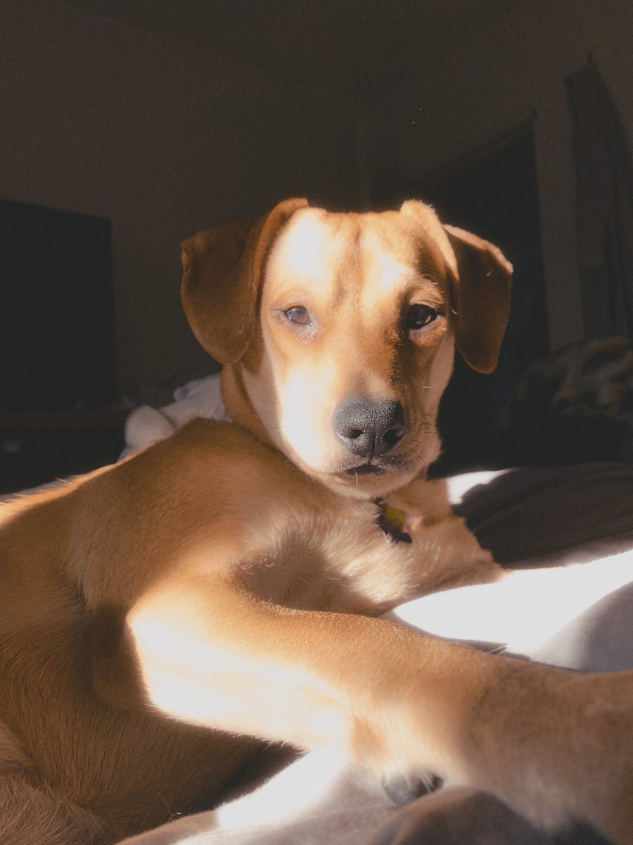 Les presento al amor de mi vida