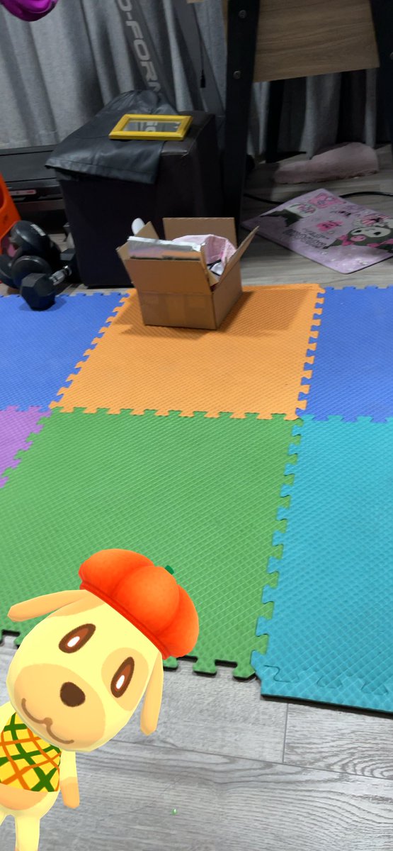 Maoryka's tweet photo. #ACPCSnapshots #ACPCAllThingsOrange https://t.co/iOLGPCniKL