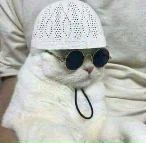 Shiekhthought's tweet photo. Pakistanis before PAK vs IND match  #PakVsInd https://t.co/zbPUZhGrBC