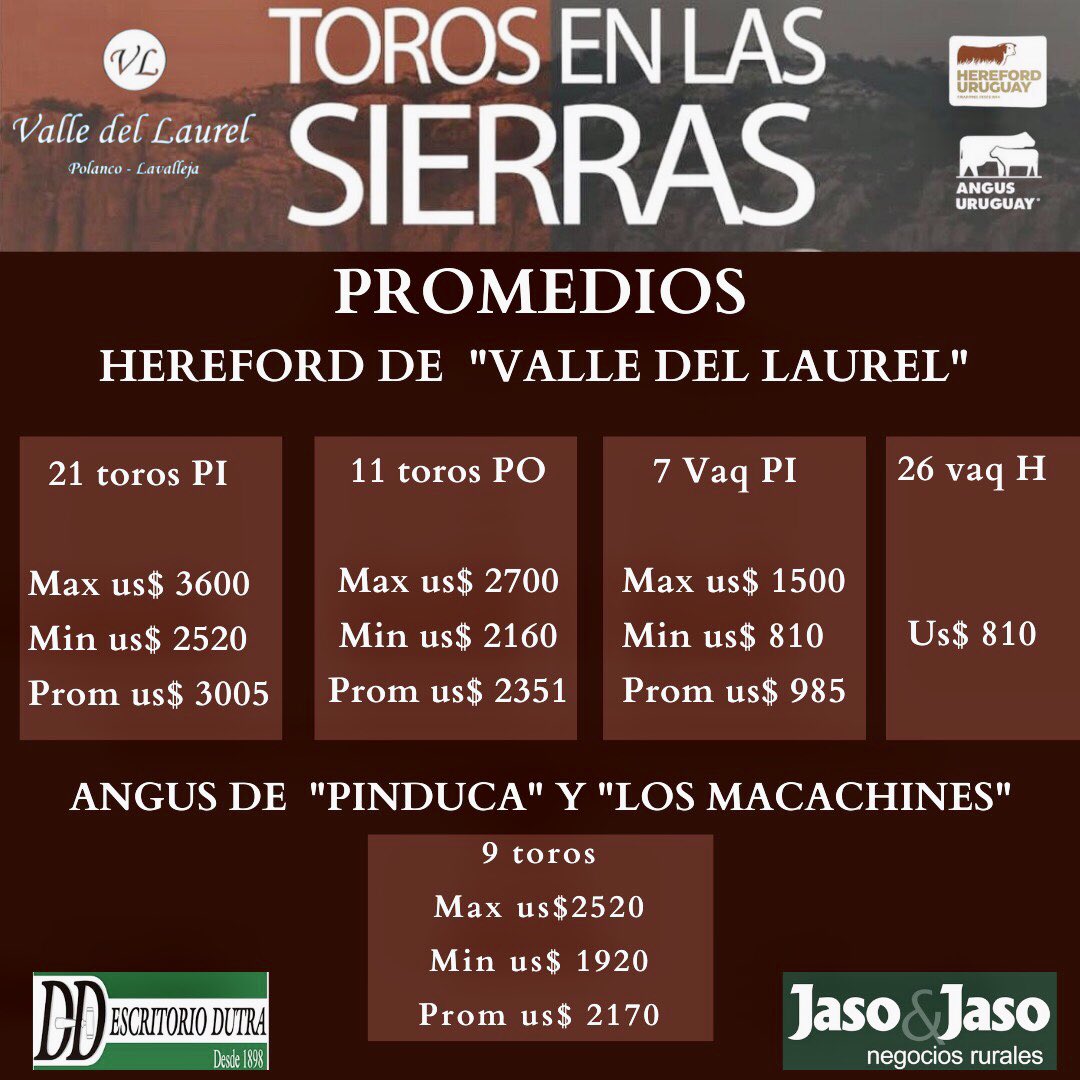 jasoyjaso's tweet photo. ¡Excelente remate con 100% de ventas! Agradecemos a las cabañas y a compradores de Maldonado, Florida, Rocha, Lavalleja, Canelones, Paysandu, Soriano y Salto. 
Buen fin de semana!
#hereforduy #angusuy #jasoyjaso https://t.co/w2vSKKwmXT
