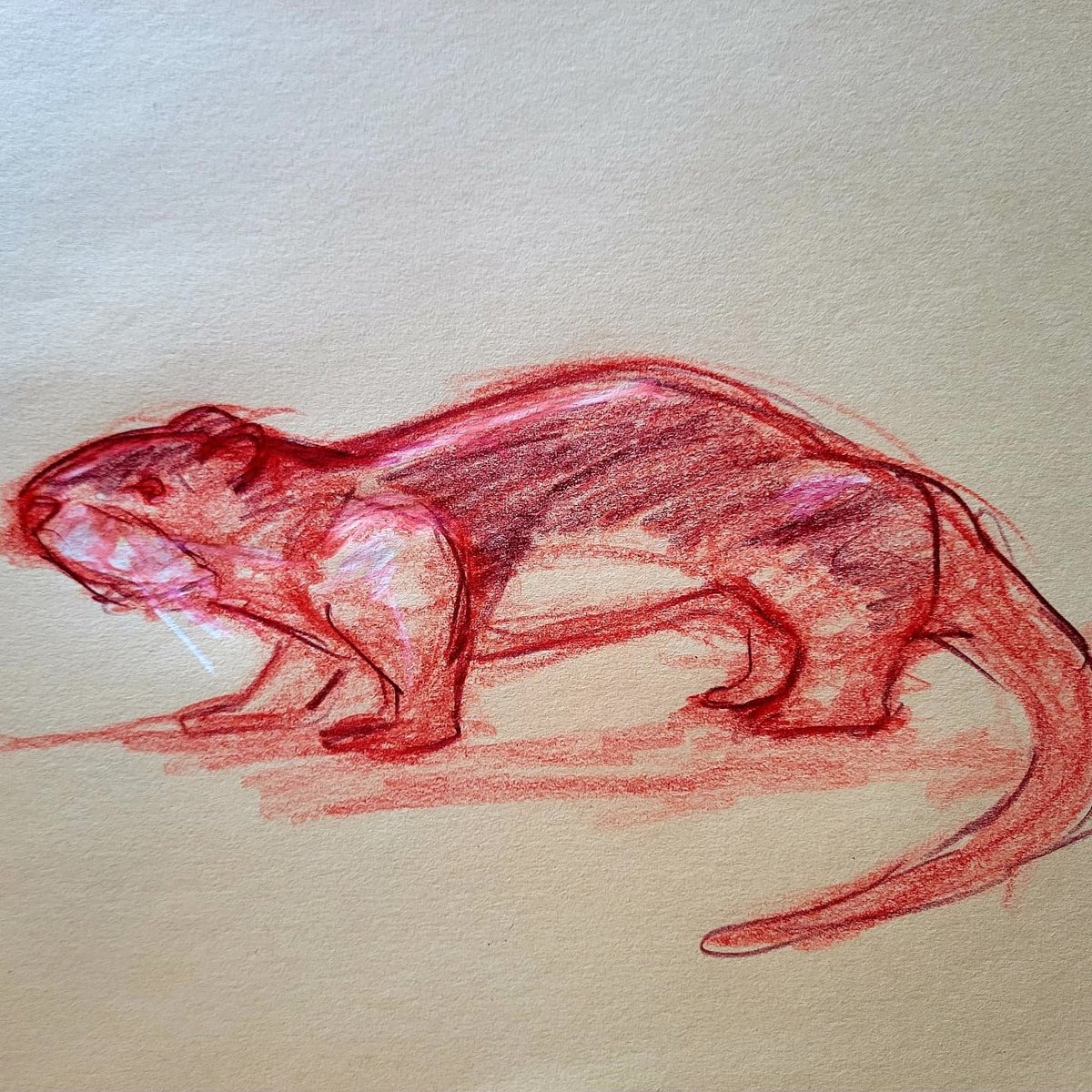 Reschasketch (Dustin Resch, illustrator/author) tweet media