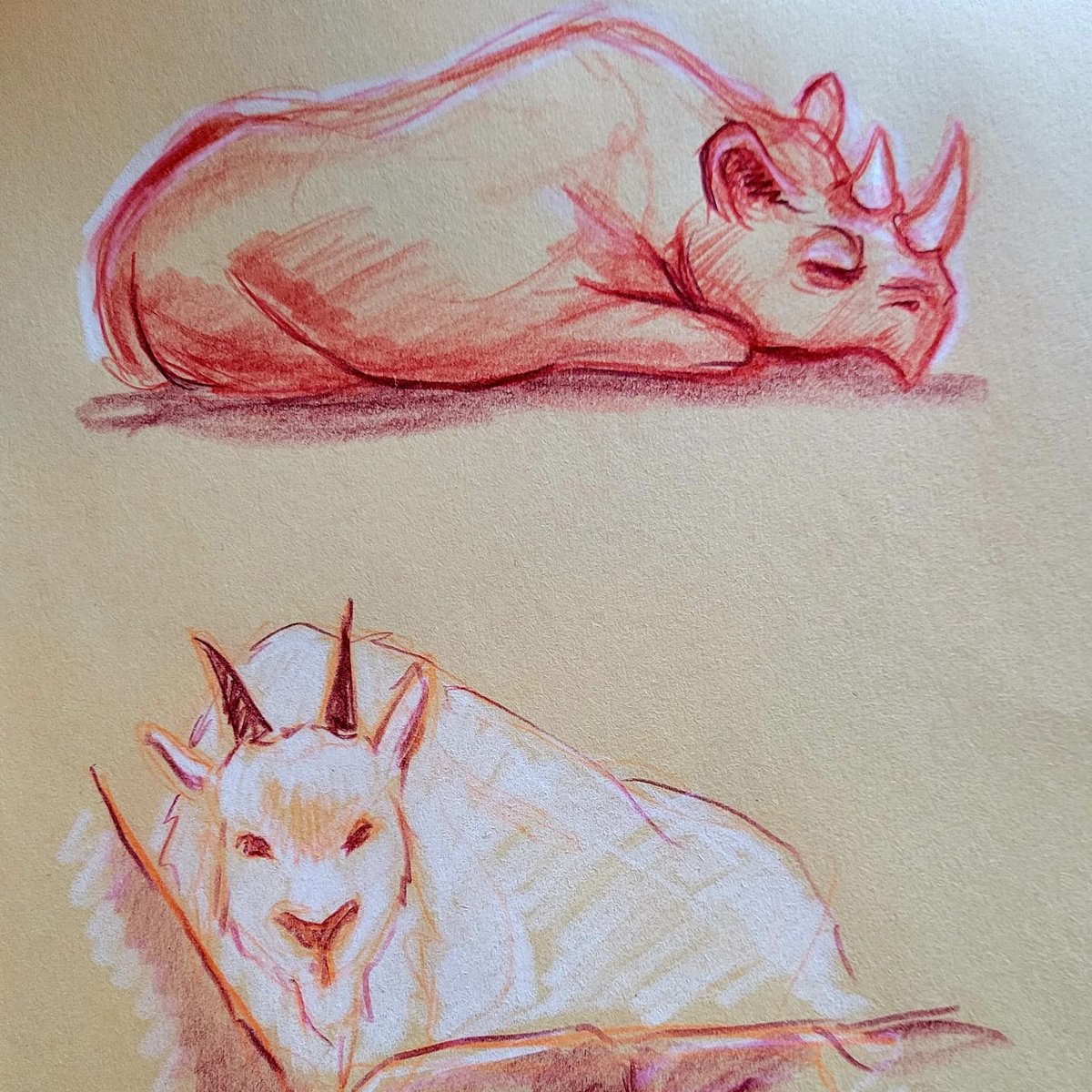 Reschasketch (Dustin Resch, illustrator/author) tweet media