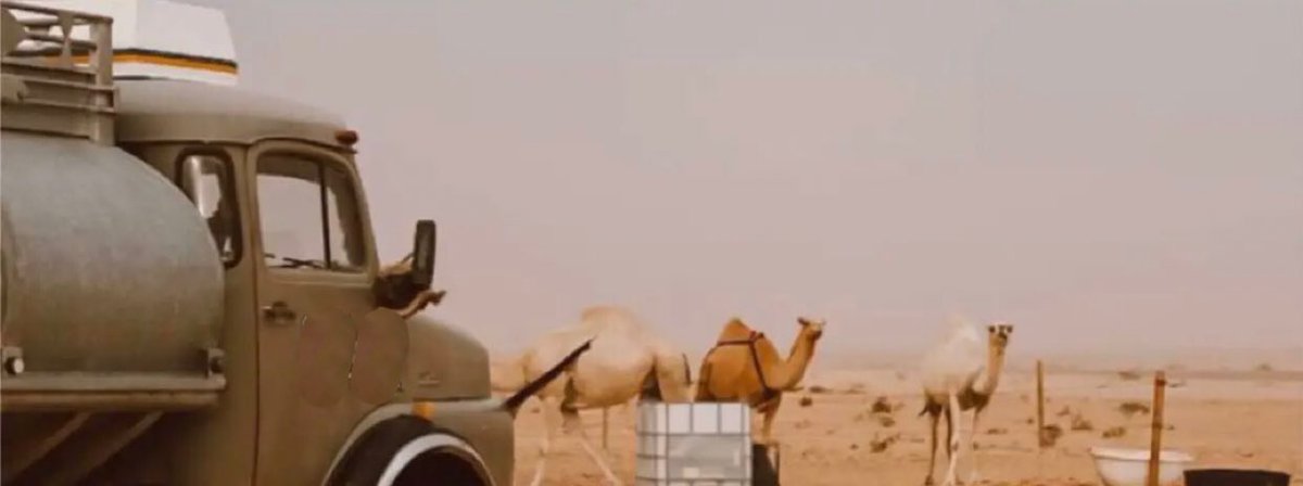 n_32x's tweet photo. ↓(..)

يا ربّ زدني تمسّك بـ الشيم و المبادي
بدون بعض المبادي ما لـ الإنسان قيمة https://t.co/WM6CasPVFw