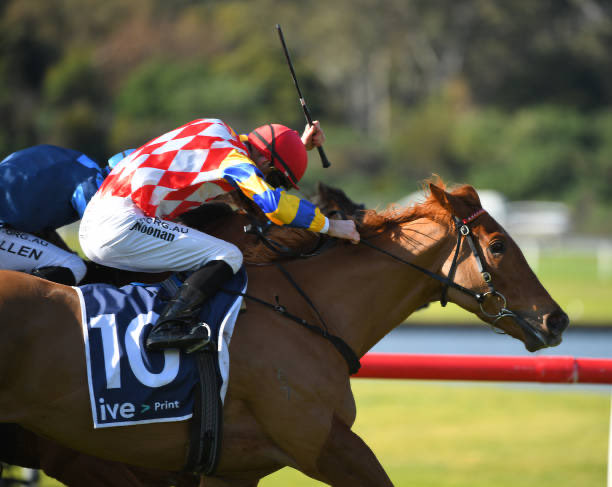 AwNoonan's tweet photo. Hickok heads to Sale today in terrific form hoping to qualify for the final of the Country series to be run at Flemington on Oaks Day. The form of his last win has been given a few boosts during this past week.
Good Luck to connections☘️ https://t.co/suJeAwwfbg