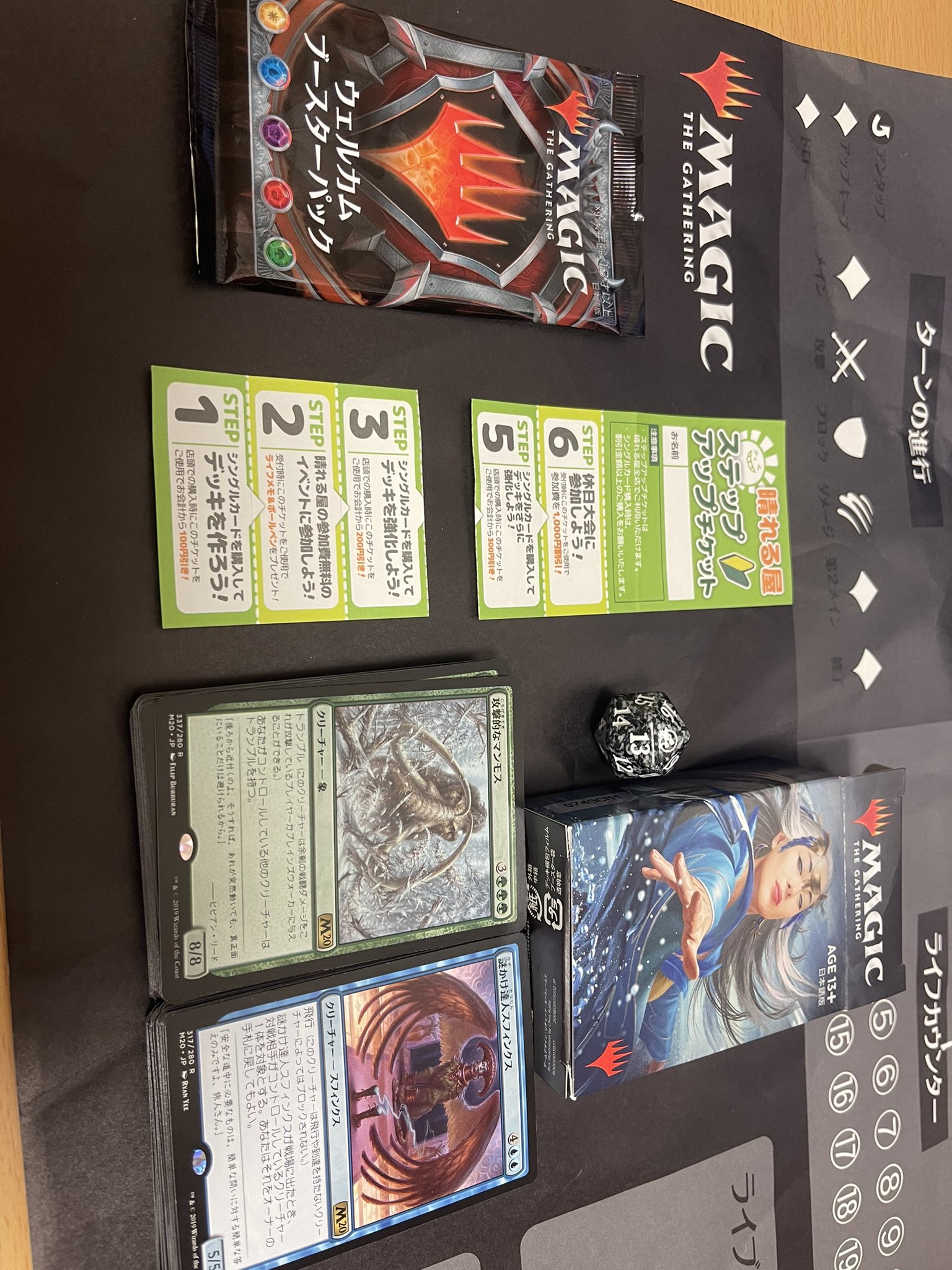 ネイチ Mtg復帰 紙スタン人口増やしたい Neichi19 Twitter