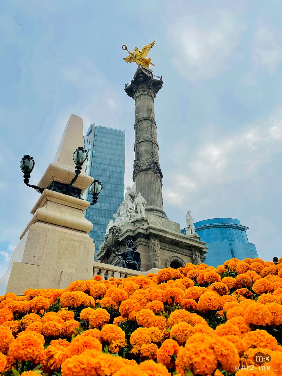 mex_experiencia's tweet photo. :#MEXicoEnUnaFoto🇲🇽📸 #DesdeMiLente:
“Ángel de la Independencia” (Cuauhtémoc, CDMX)
Entre sempôwalxôchitl - cempasúchil (varias flores) imponente se ve la columna que sostiene a la Victoria Alada para este #DíaDeMuertos2021💀 en la CDMX. https://t.co/K408ofSGxP