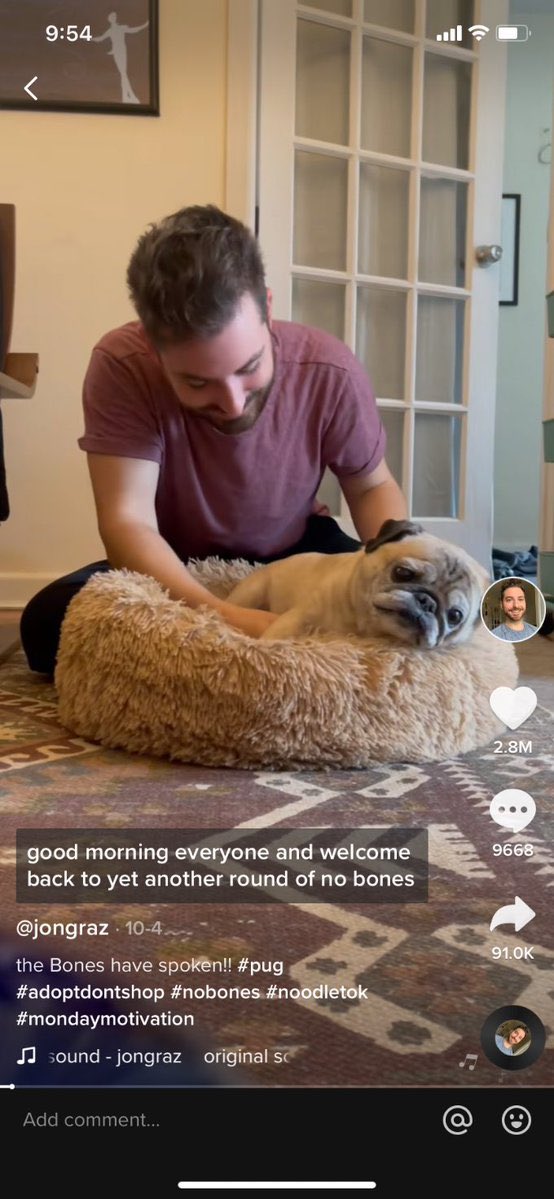 AckertKathleen's tweet photo. Anytime I’m awake during the daytime on night float is a #NoBonesDay gotta love Noodles the pug #nightfloatproblems https://t.co/GOobqU2cWq