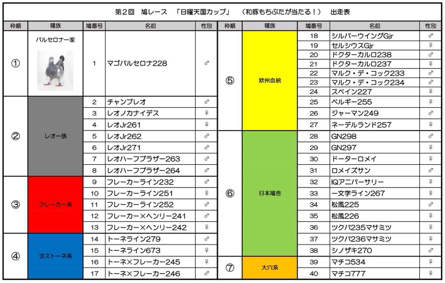 鳩レースの帰還率は3 どんなレースで賞金はあるの つきなたのパソコン情報ブログ