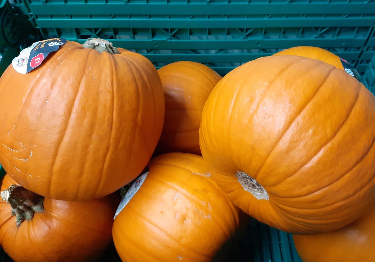 CoopSandra's tweet photo. It's nearly Halloween - stock up on spooky treats at your local @coopuk store!
#TrickOrTreat #PumpkinLanterns
#AmericanStyleGuising
#BloodCurdlingCoop #ScarySweeties #ItsWhatWeBoo
@derek_coop @__Stephenk__ https://t.co/spCKvnSL3x