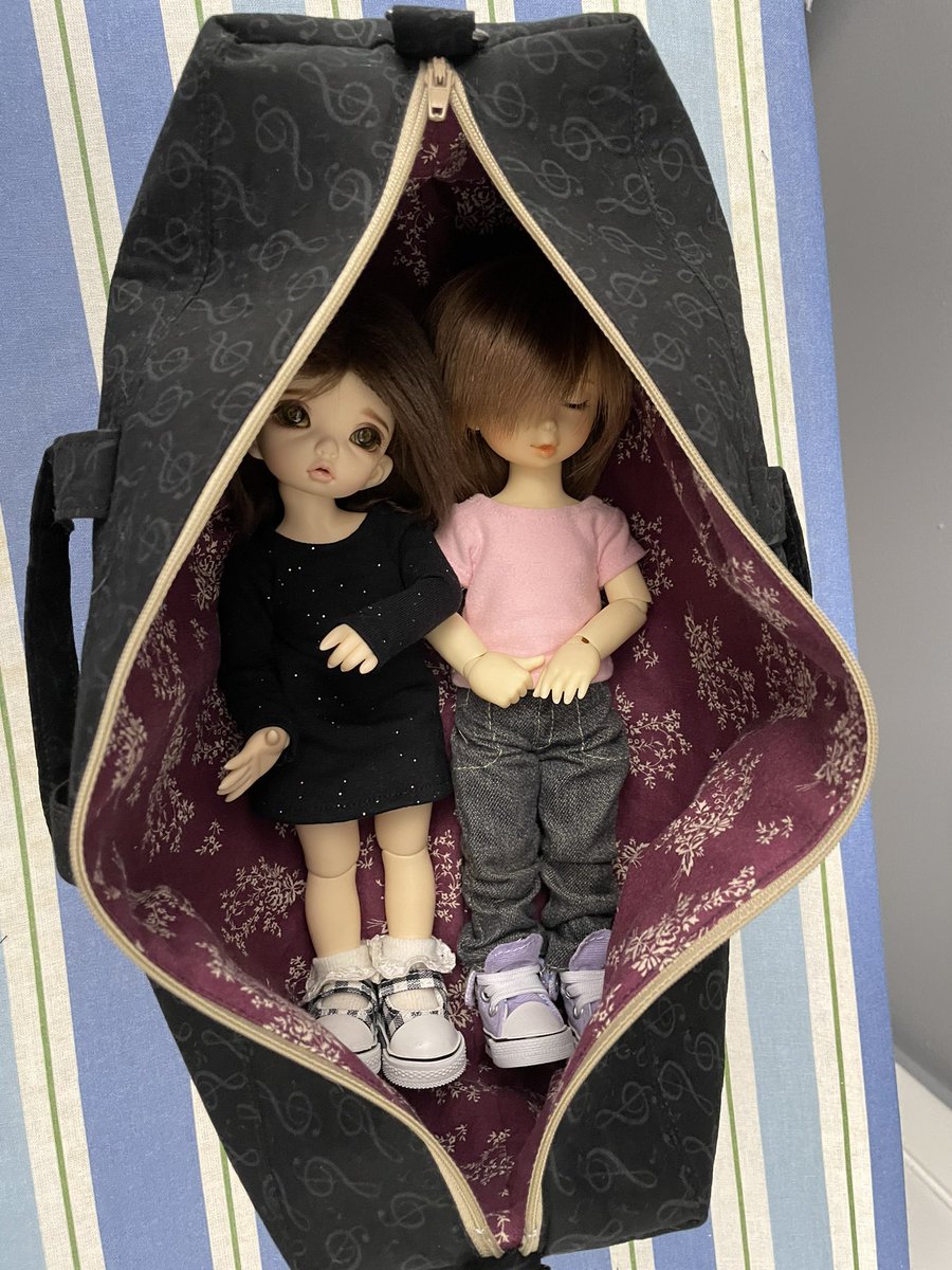 ResinMelody's tweet photo. First attempt at a doll bag! 

I didn’t have longer zippers so it ended up Yo/LTF size. 😅

It turned out pretty cute, I think! Now to make a 2nd with a few modifications… 😆

#bjdcarrier #bjdcarrierbag #bjd #dollseamstress #dollbag #dollcarrier #ltfbisou #yosdswdmamu https://t.co/839xXD2hL8