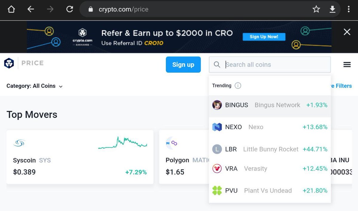 Bingus Network Bingus Network Twitter