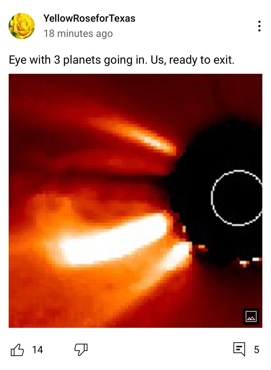 BrookeinSC's tweet image. #YRFT