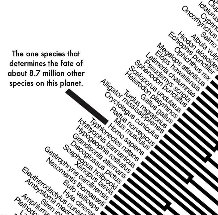 fayaspsulfikkar's tweet image. #homosapiens
