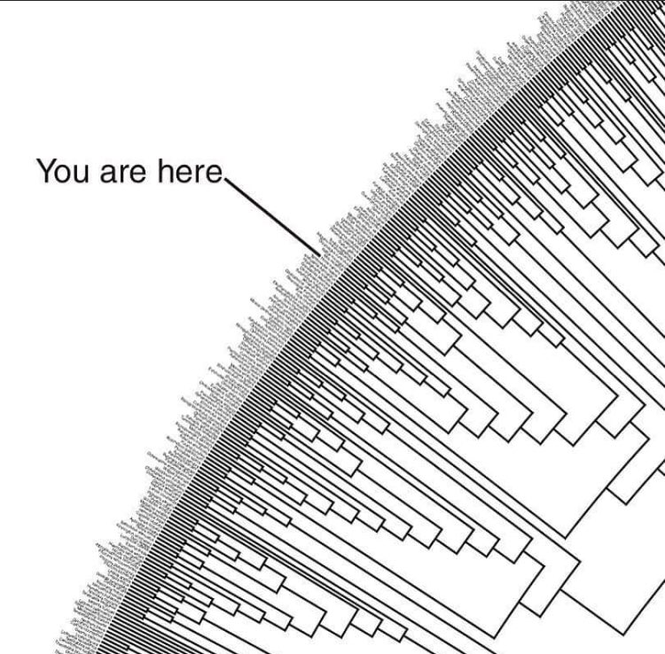 fayaspsulfikkar's tweet image. #homosapiens