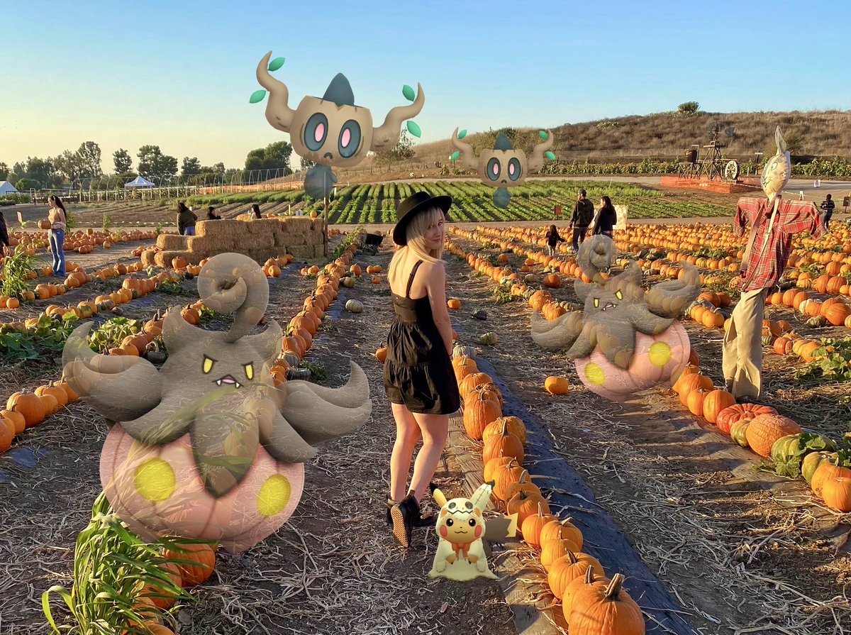 MagicMakesKate's tweet photo. Happy weekend!🎃👻

#PokemonGO #Niantic #ARPhotoADay #GOsnapshot #NianticAR #Pokémon #Gaming #nintendo https://t.co/D731FLmH9P