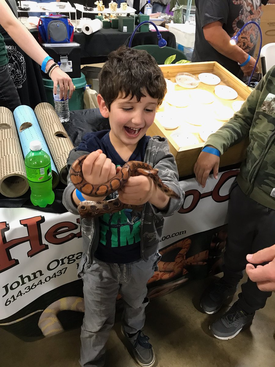 Findlay_Venom's tweet photo. This is the look of pure joy! My kids joined me for my herpetology lab to the reptile show this weekend. I love rainbow boas just as much buddy.  #herpetology https://t.co/75rBtPPBph