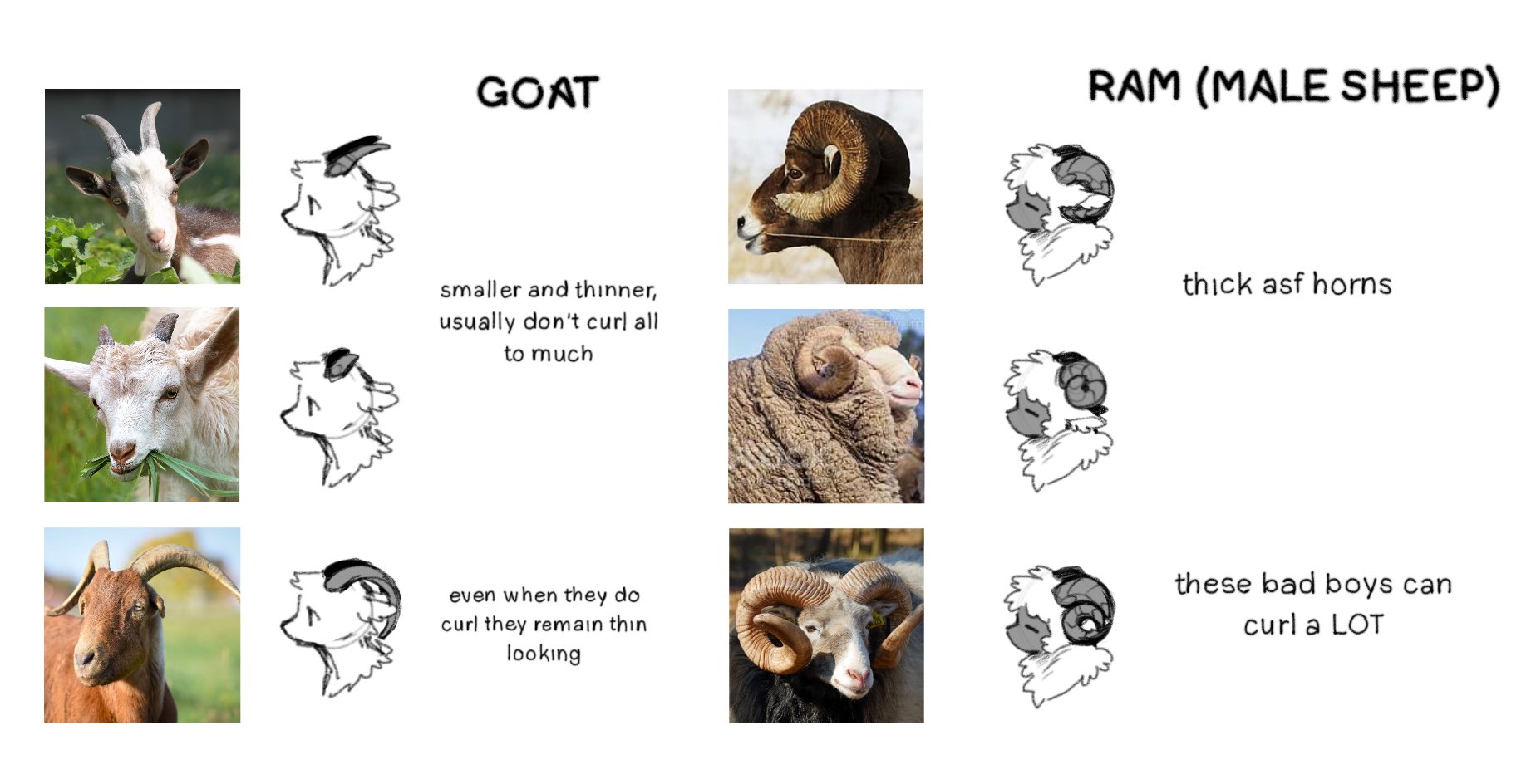 Creg On Twitter made This Bc I See A Lot Of People Confusing The Two 