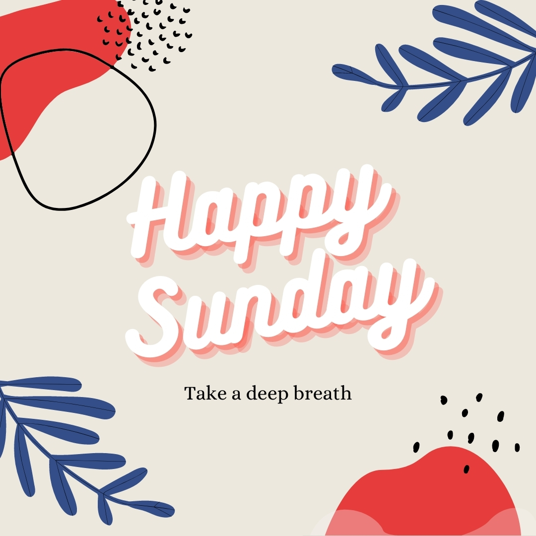 briannalanzon's tweet photo. “The frantic pace of life is only interrupted by the quietness of Sunday.” – Byron Pulsifer 🌷 https://t.co/0XOehRJ5uv
