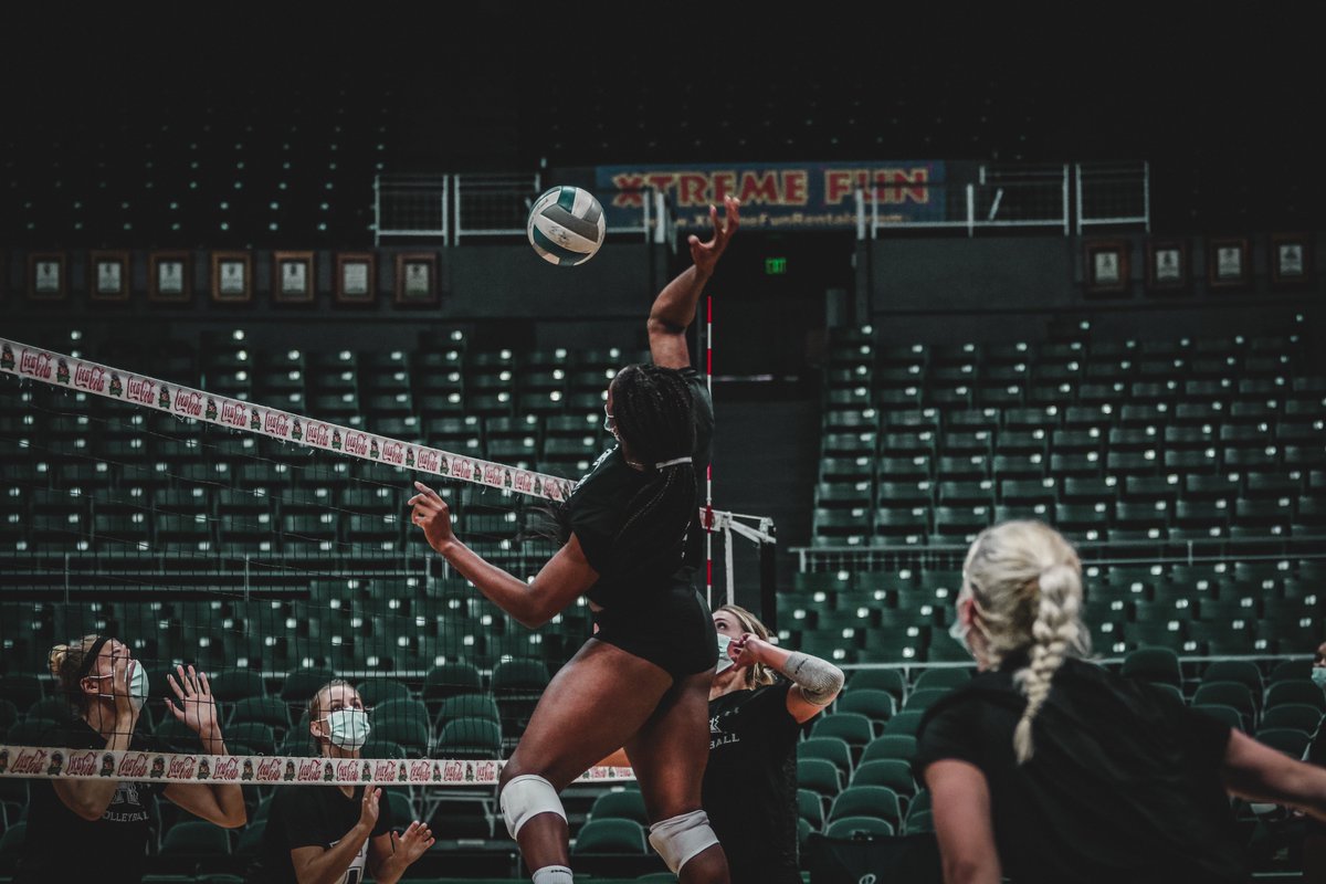 HawaiiWVB's tweet photo. Working harder 𝐄𝐕𝐄𝐑𝐘. 𝐒𝐈𝐍𝐆𝐋𝐄. 𝐃𝐀𝐘.

#GoBows https://t.co/0SjGcO4hq8