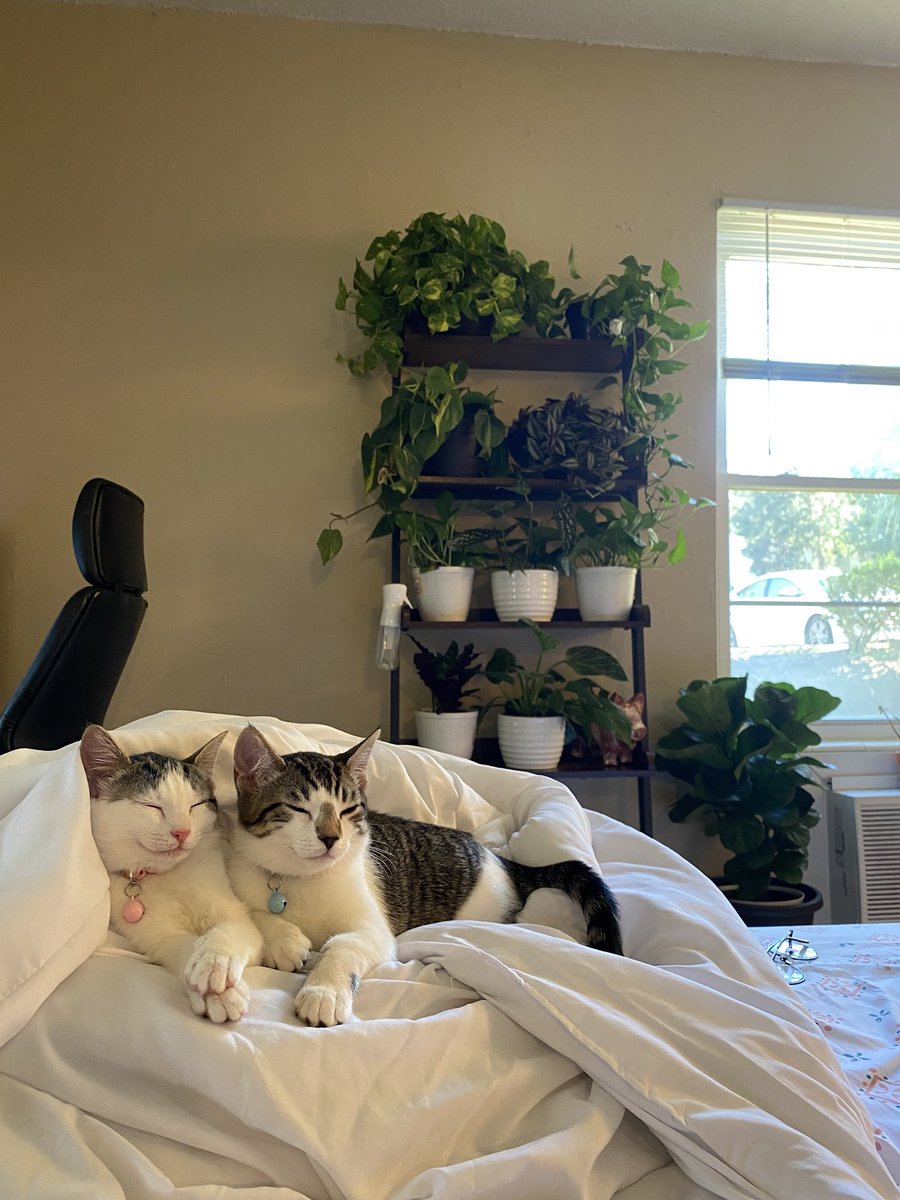 Mmm yes so sophisticated