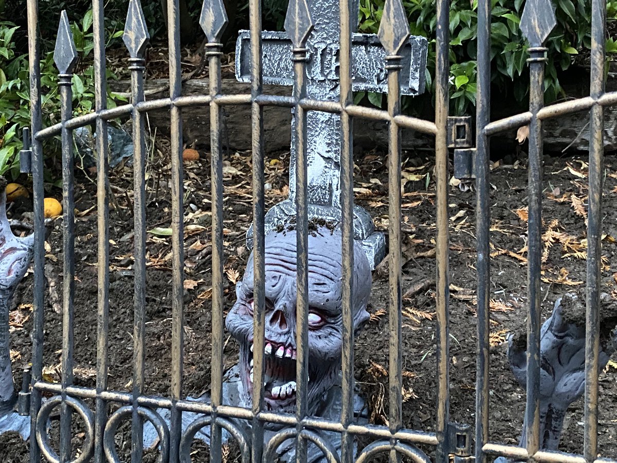 People are starting to show up for Halloween…