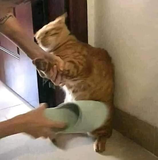 tu pun mak marah 🤣