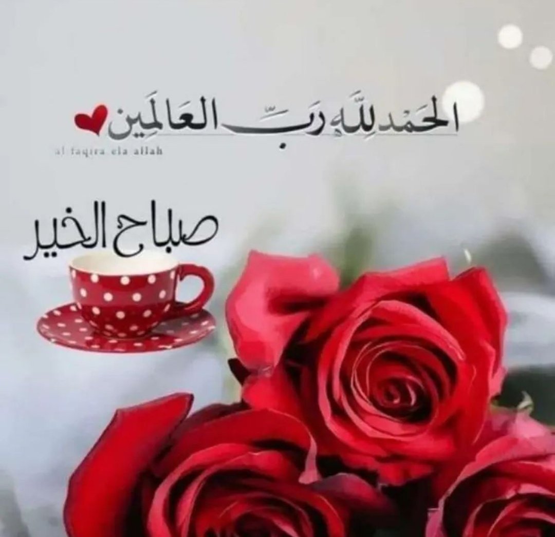 nooor2228's tweet photo. " اللهم طريقاً يخلو من تعثرات الحياة "

.
             #صباح_الخير https://t.co/figZKUICWh