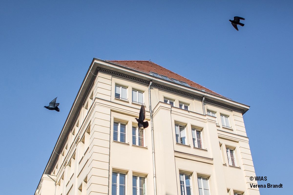 ResearchGermany's tweet photo. The Research Group #StochasticAlgorithms and nonparametric statistics at @WeierstrassInst offers a #PhD position - Check it out 👉https://t.co/3u3DFYn34c #PhDGermany #ComputerScience #Statistics #Mathematics https://t.co/CT5W7HoRXv