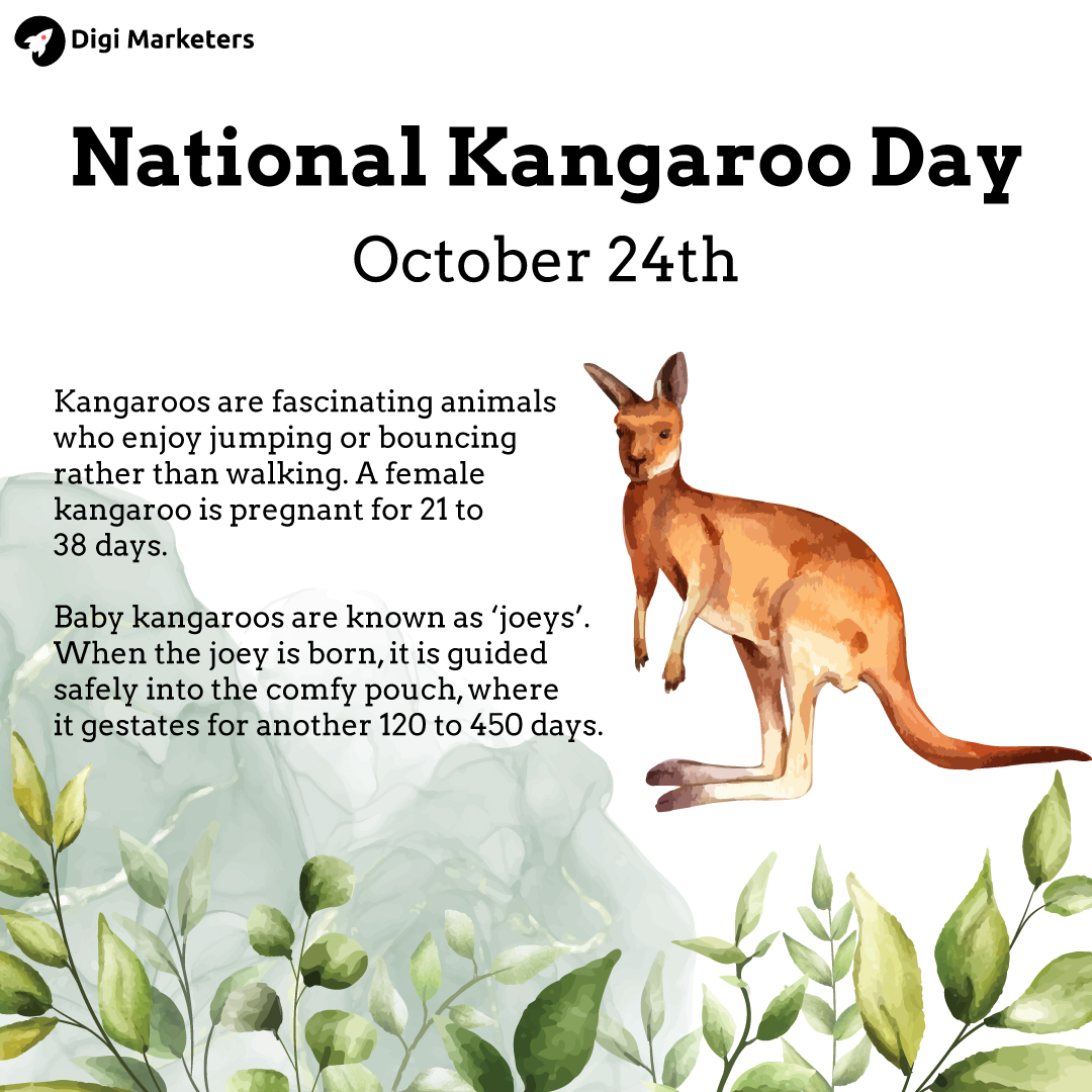 Kangaroo is one of the most unique animals. It's a symbol of Australia and has appeared on national flags & currencies. I'm so excited to be a part of this new initiative #savethekangaroo. 

#happykangarooday #animalfriends #protectkangaroos  #digimarketers #NationalKangarooDay