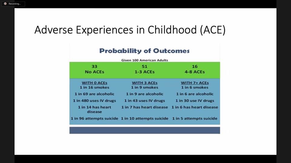 Dr. Jose Hidalgo led a session on trauma-informed leadership with our workshop facilitators. Our goals included gaining a greater understanding of the relationships between early childhood trauma and the resulting mental, behavioral, and physical health outcomes.  #artandadvocacy