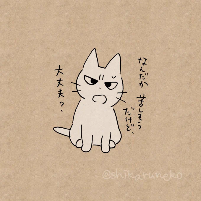 つい食べすぎてしまう人を叱ってくれる猫 