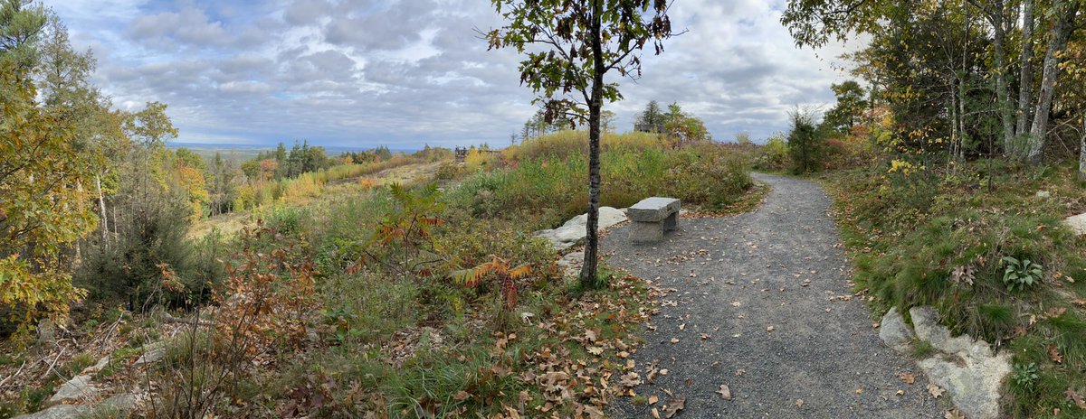 RebekahLowell's tweet photo. Birding today at @MtAgamenticus, I was happy see a universal access trail — and with gorgeous views and lookout points! @birdability #BirdabilityWeek2021 https://t.co/Hrv16r7bqq